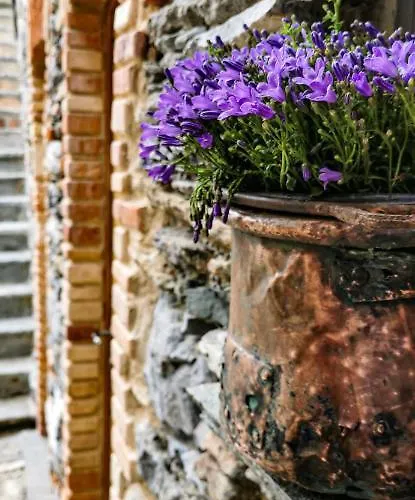 Il Medeghino Farm stay Musso